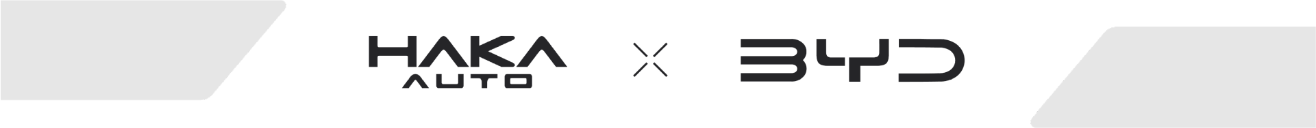 Haka Auto X BYD