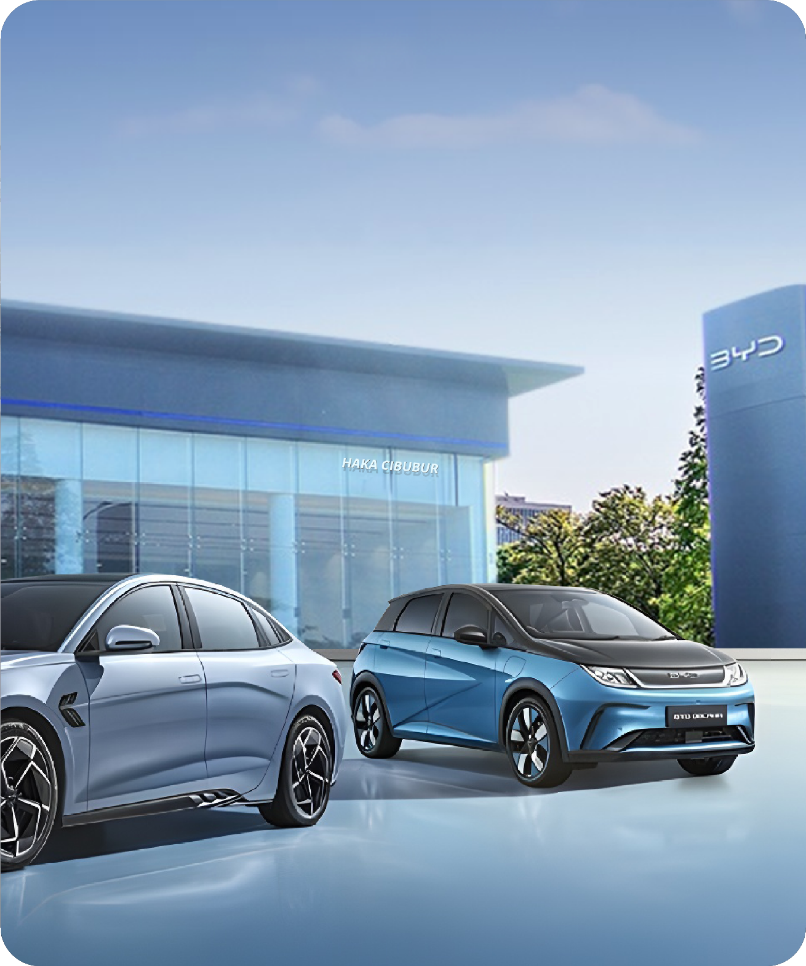 BYD HAKA AUTO incuiri consultation